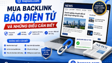 Mua Backlink Báo Điện Tử Và Những Điều Cần Biết